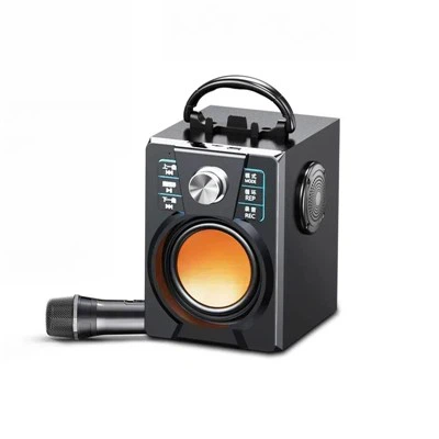 Speaker portabel besar dengan mikrofon
