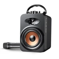 Speaker karaoke portabel dengan mikrofon